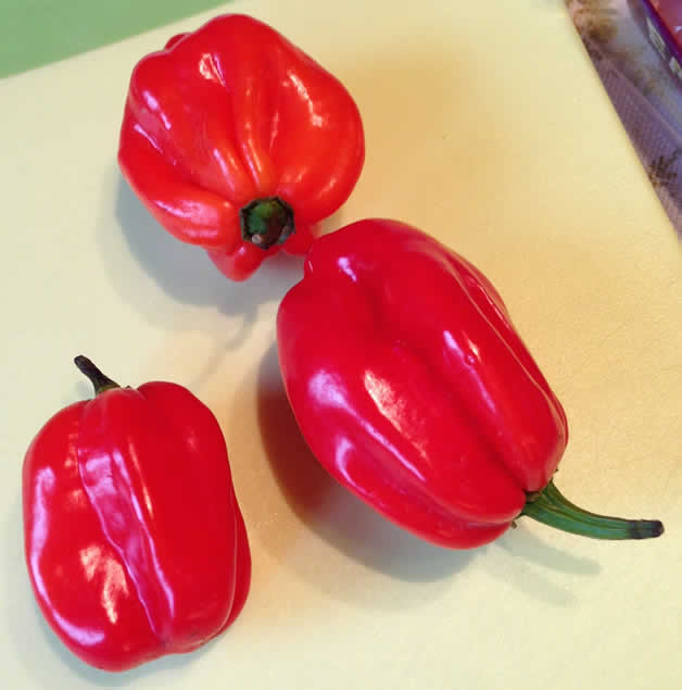 Habaneros