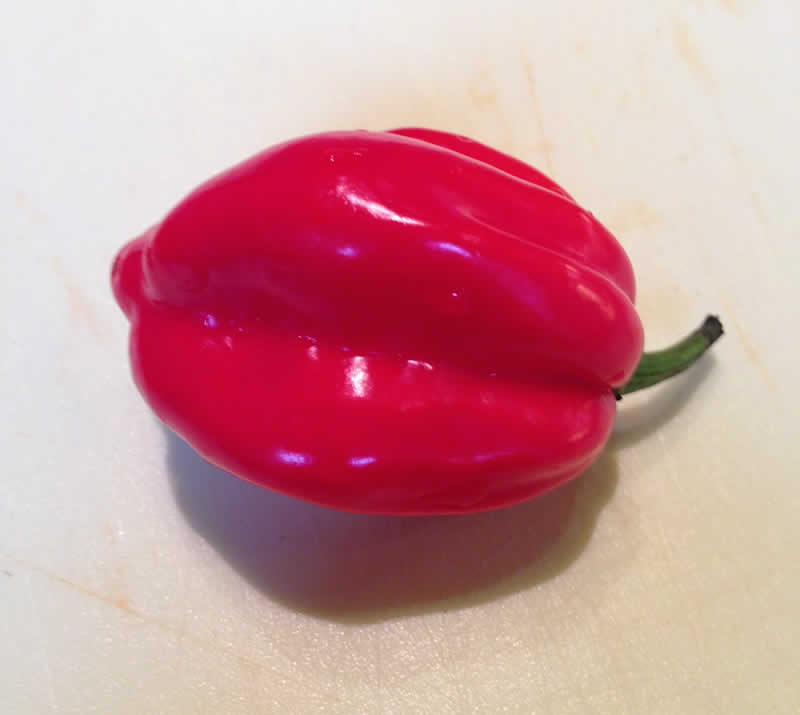 Habanero